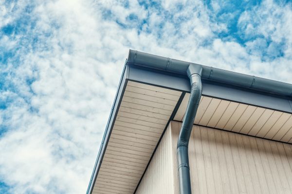 Gutter Fascia Repair in Louisburg
